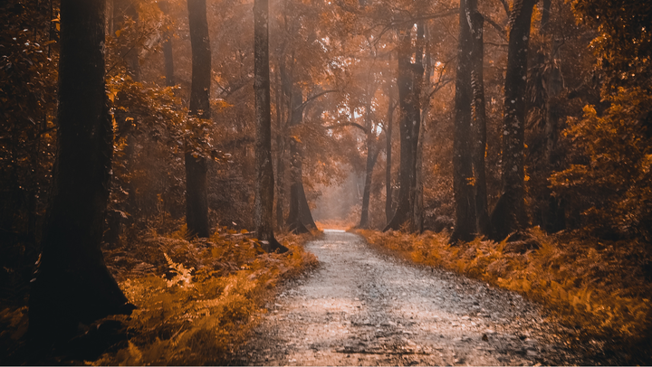 Been in VC 7 years and love it — but my fund’s broke, no exits, no bonuses, and fundraising feels futile. As a new parent, I’ve lost my old drive. I’m stuck, exhausted, and unsure what’s next. Too old for a mentor? Too young to feel this lost.